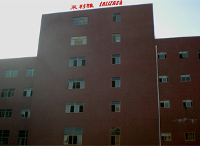 LALIZAS | 2008 – Established a logistic hub in China